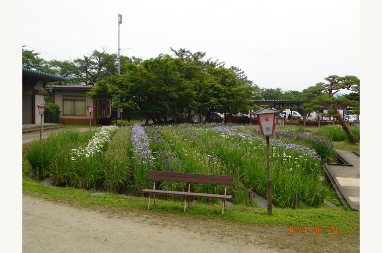 DSC01415