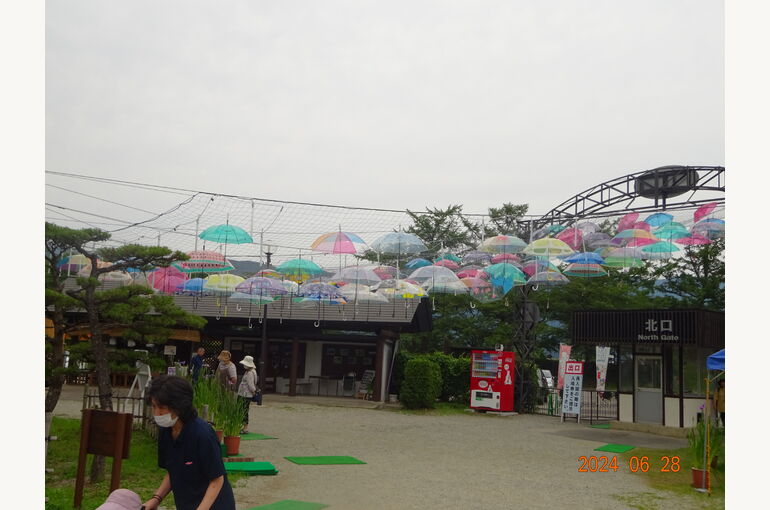 DSC01406